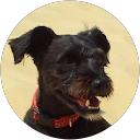 Sophie CIGNA profile picture